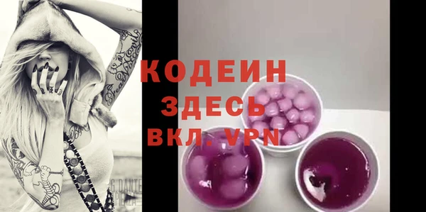 шишки Инсар