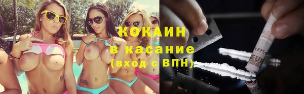 шишки Инсар