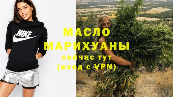 шишки Инсар