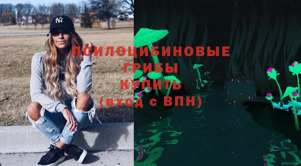 гидропоника Зеленодольск