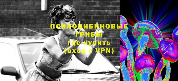 шишки Инсар