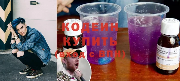 шишки Инсар