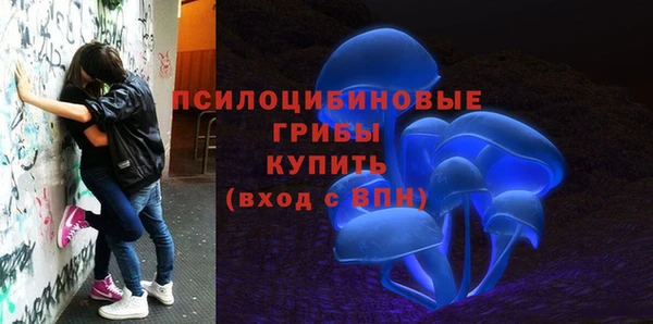шишки Инсар