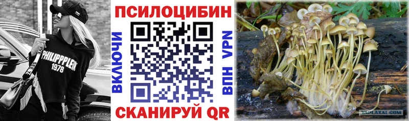 Псилоцибиновые грибы Cubensis  Кизляр 