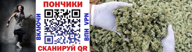 блэк спрут tor купить наркоту Кизляр даркнет формула Шишки марихуана Amnesia